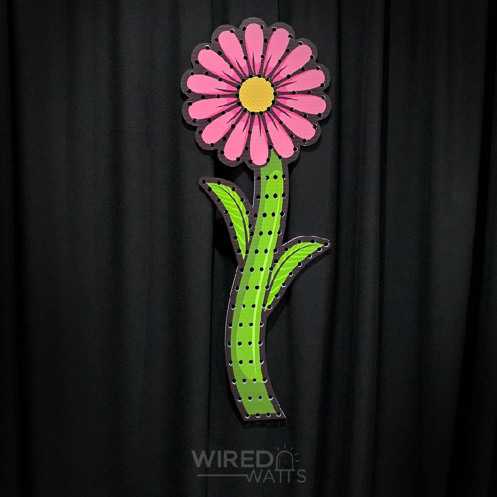 Large Daisy Flower Pink
