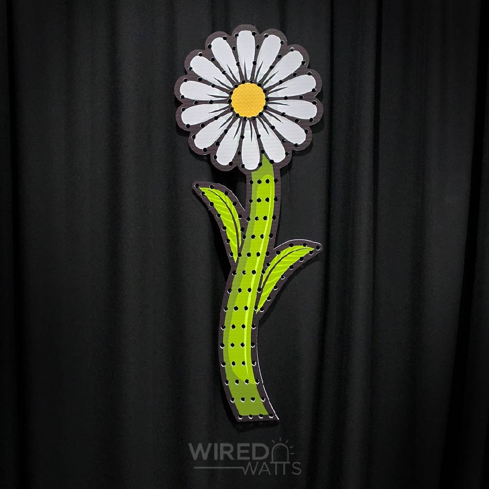 Large Daisy Flower White
