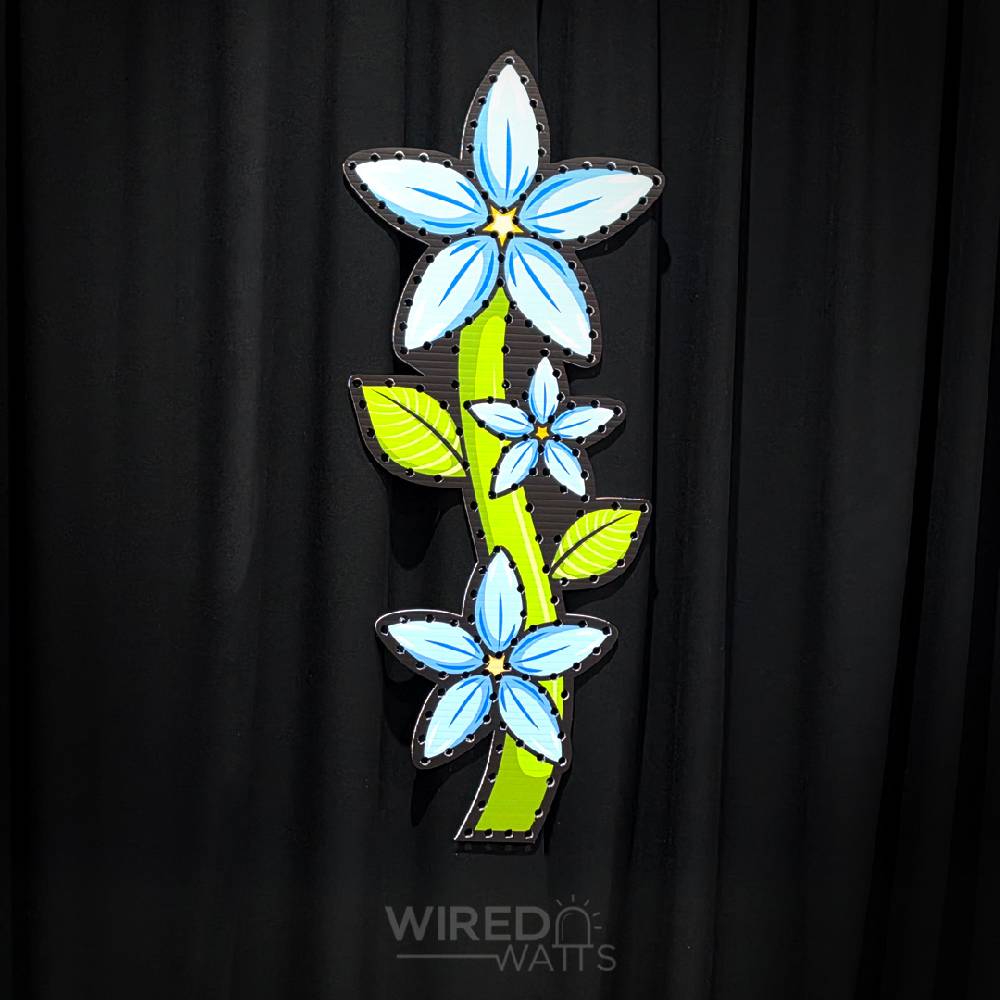 Large Star Flower Blue