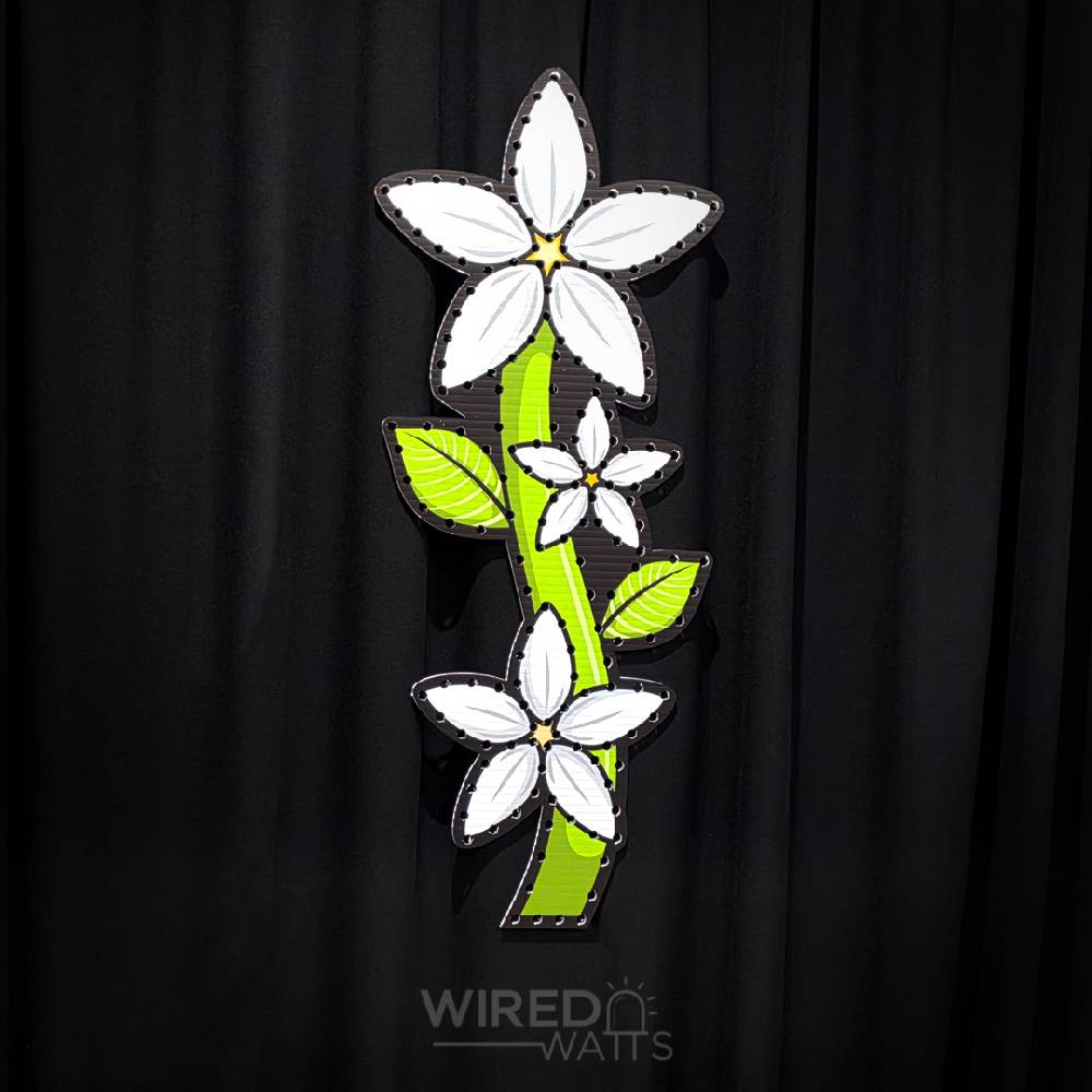 Large Star Flower White