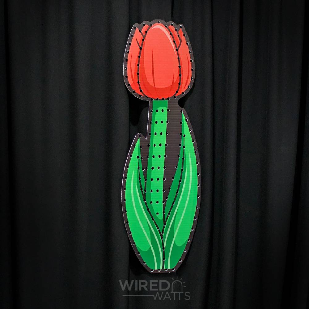 Large Tulip Flower Red
