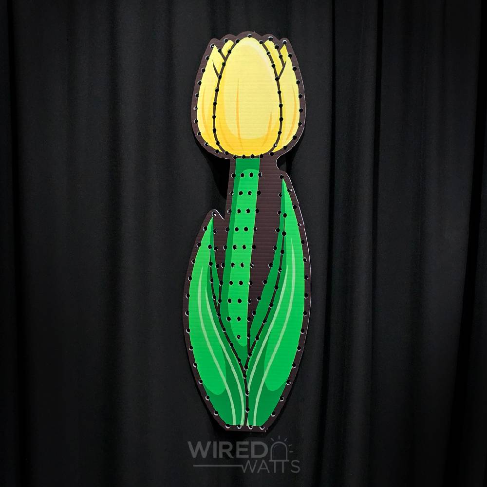 Large Tulip Flower Yellow