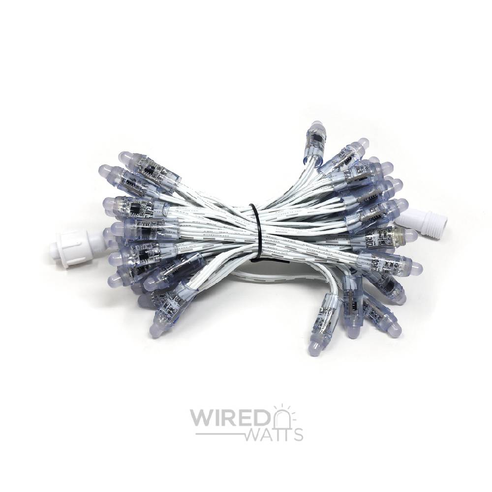 Smart 12v 50ct Bullet Node Pixels White Wire xConnect