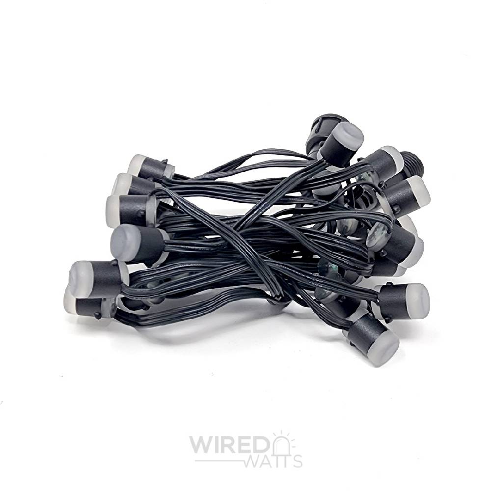 Smart 12v 50ct LumaDot Pixels Black Wire xConnect