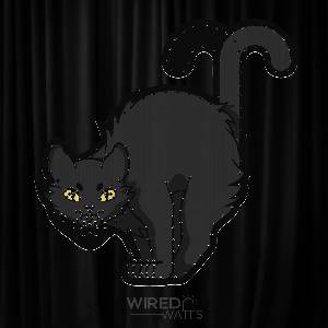 Singing Black Cat with Yellow Eyes Standing - Image 1