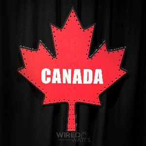 Canadian Maple Leaf Large - Image 1