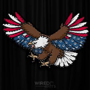 Patriot Eagle - Medium - Image 1