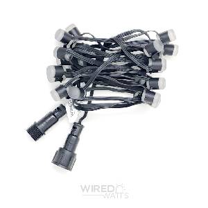 Smart 12v 25ct LumaDot Pixels Black Wire xConnect - Image 3