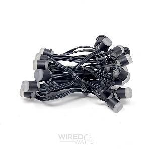 Smart 12v 50ct LumaDot Pixels Black Wire xConnect - Image 1